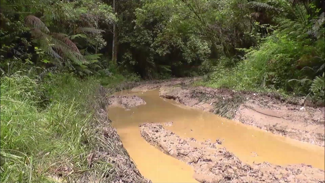 Otways Mystery Track  Preview