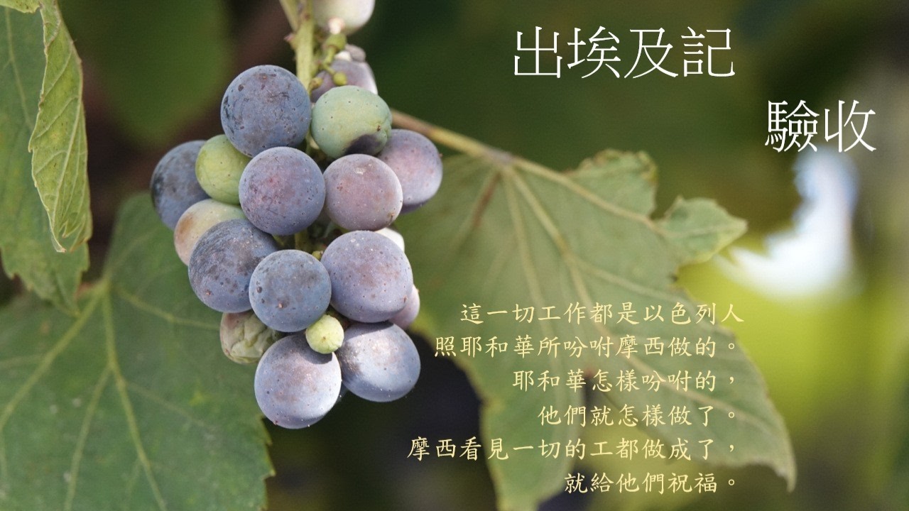 靈修:出埃及記-驗收 20260302