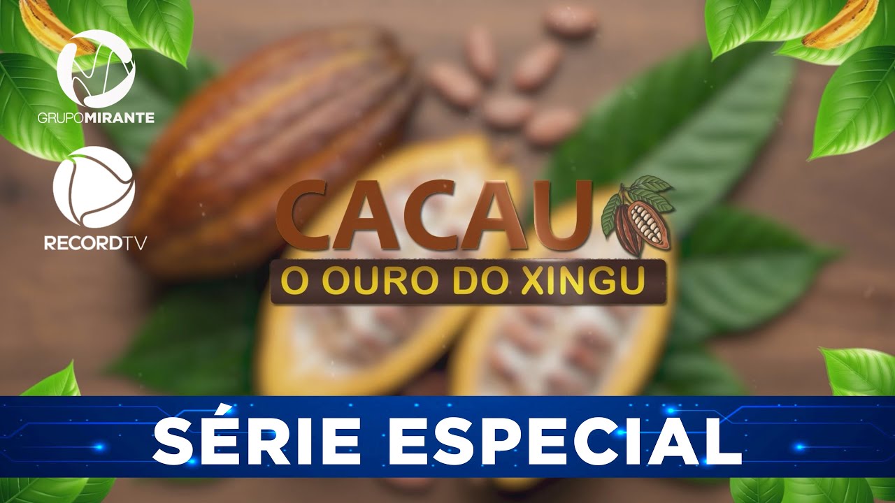 CAPITAL DO CACAU: MEDICIL&Acirc;NDIA TEM 60 MIL HECTARES DE &Aacute;REA PLANTADA.