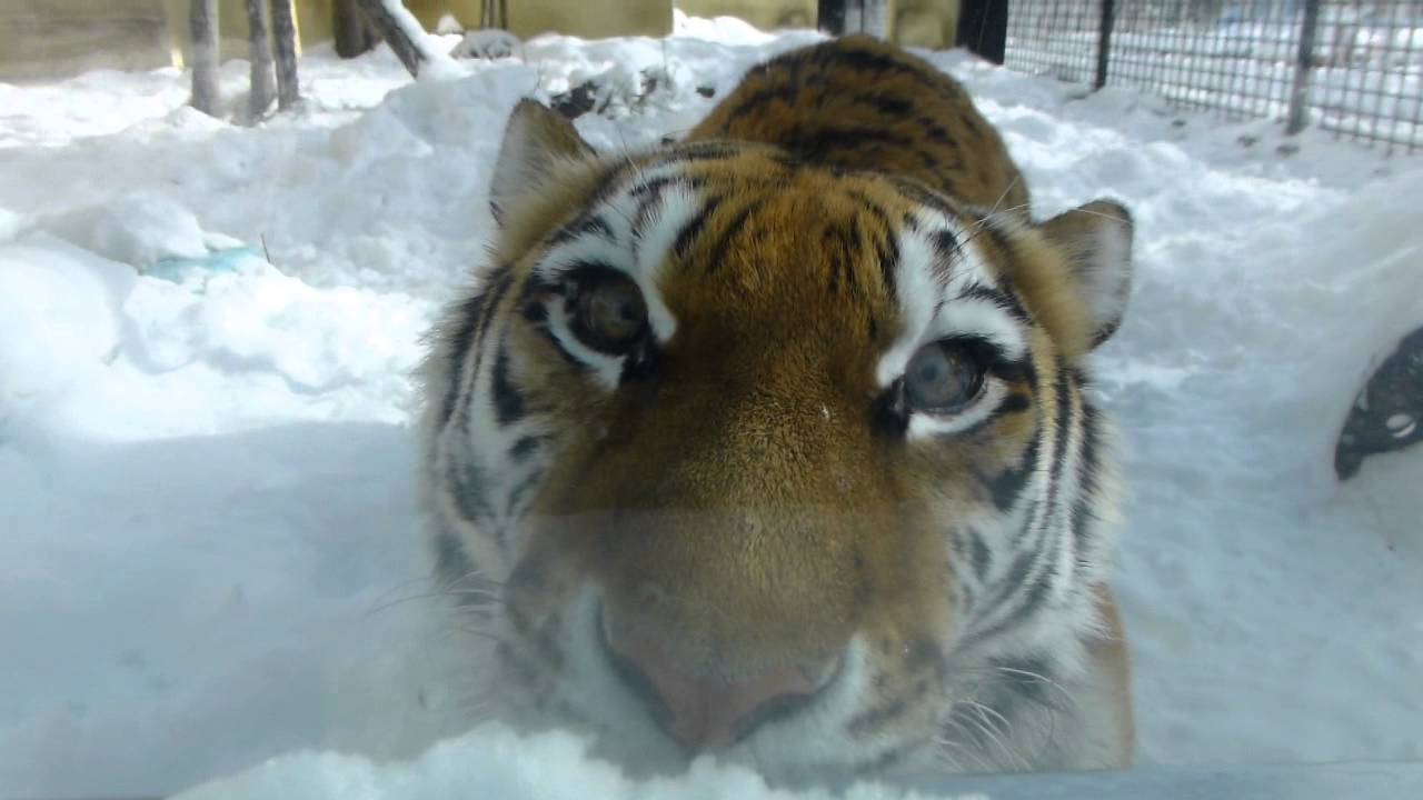 待っててくれたの