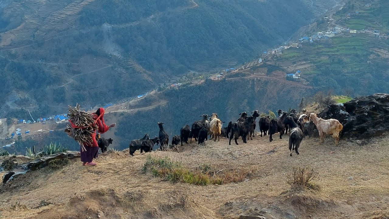Most Beautiful Nepali Mountain Village || Living into Peaceful Nature || IamSuman