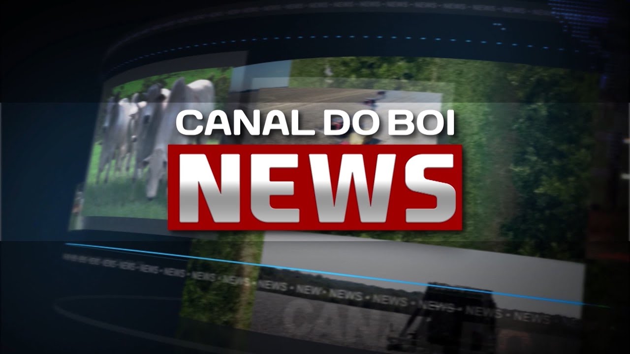 Canal do Boi News | 03/02/2026