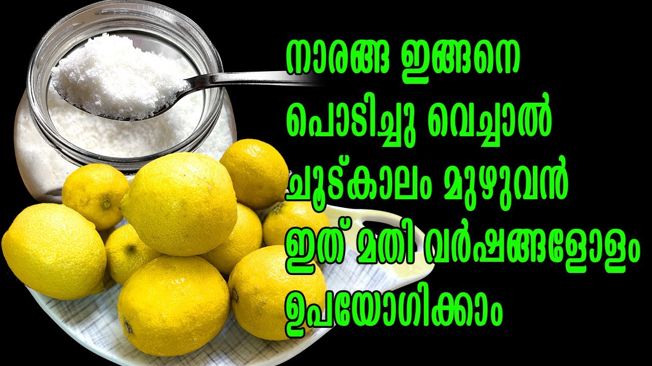 പലർക്കും അറിയില്ല നാരങ്ങ കൊണ്ടുള്ള ഈ ഉപയോഗം / lemon powder at home/ lemon juice powder 