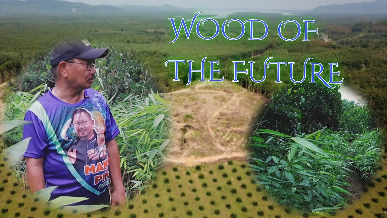 Part1 Green Philippines Advocacy by Sen. Manny Piñol | Giant Bamboo and High Elevation Fruit Trees