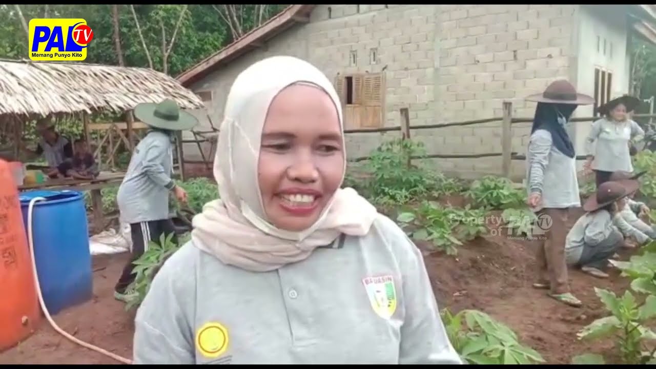 Warga Desa Mulai Galakkan Tanam Sayur Di Perkarangan | Paltv