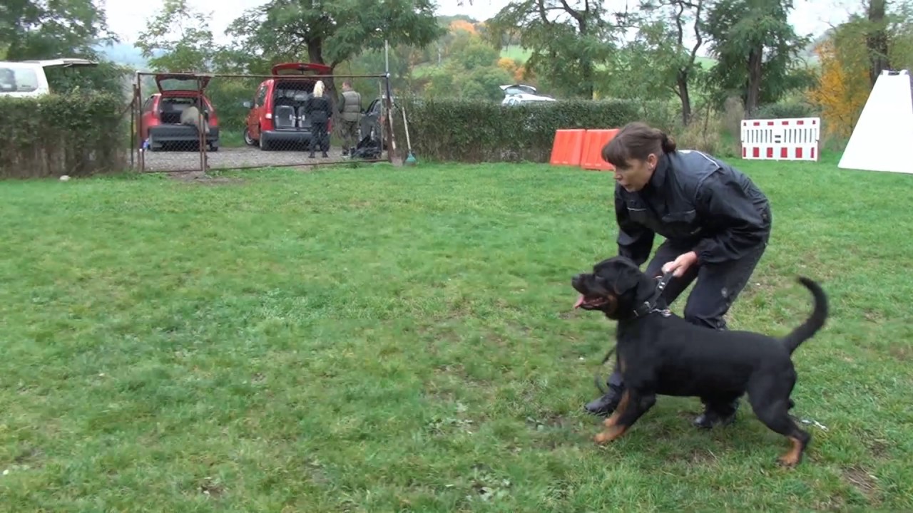 Vězeňská služba Pankrác- RTW nácvik obran