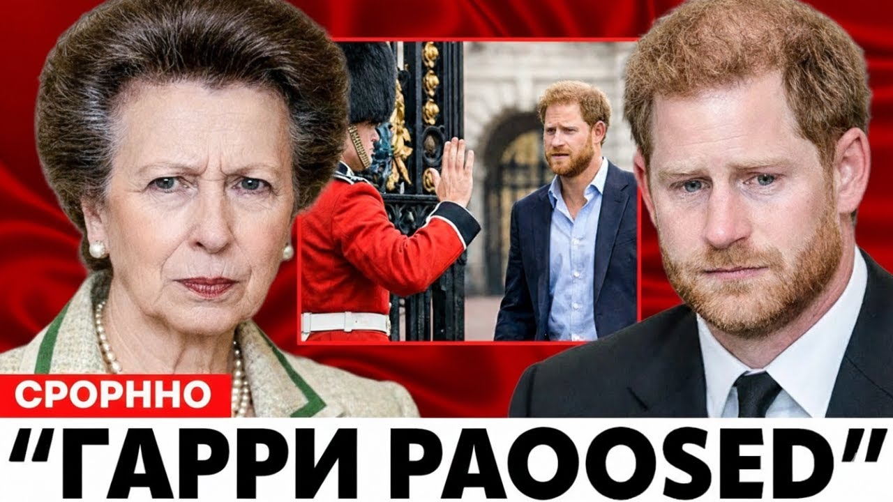 Принцесса Анна ЗАКРЫЛА Двери Перед Принцем Гарри! Скандальный Аудит и Наследие Дианы Разрушают