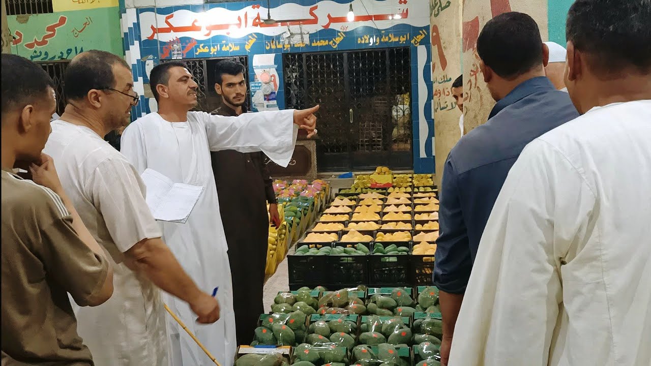 شاهد سوق المانجو في الإسماعيلية 🥭 | إنتاج 10 % من مزارع مصر 😳 | حضور مزاد 2021 | الجزء 1 مانجو العرب
