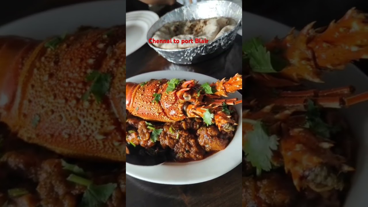 Chennai to port Blair 