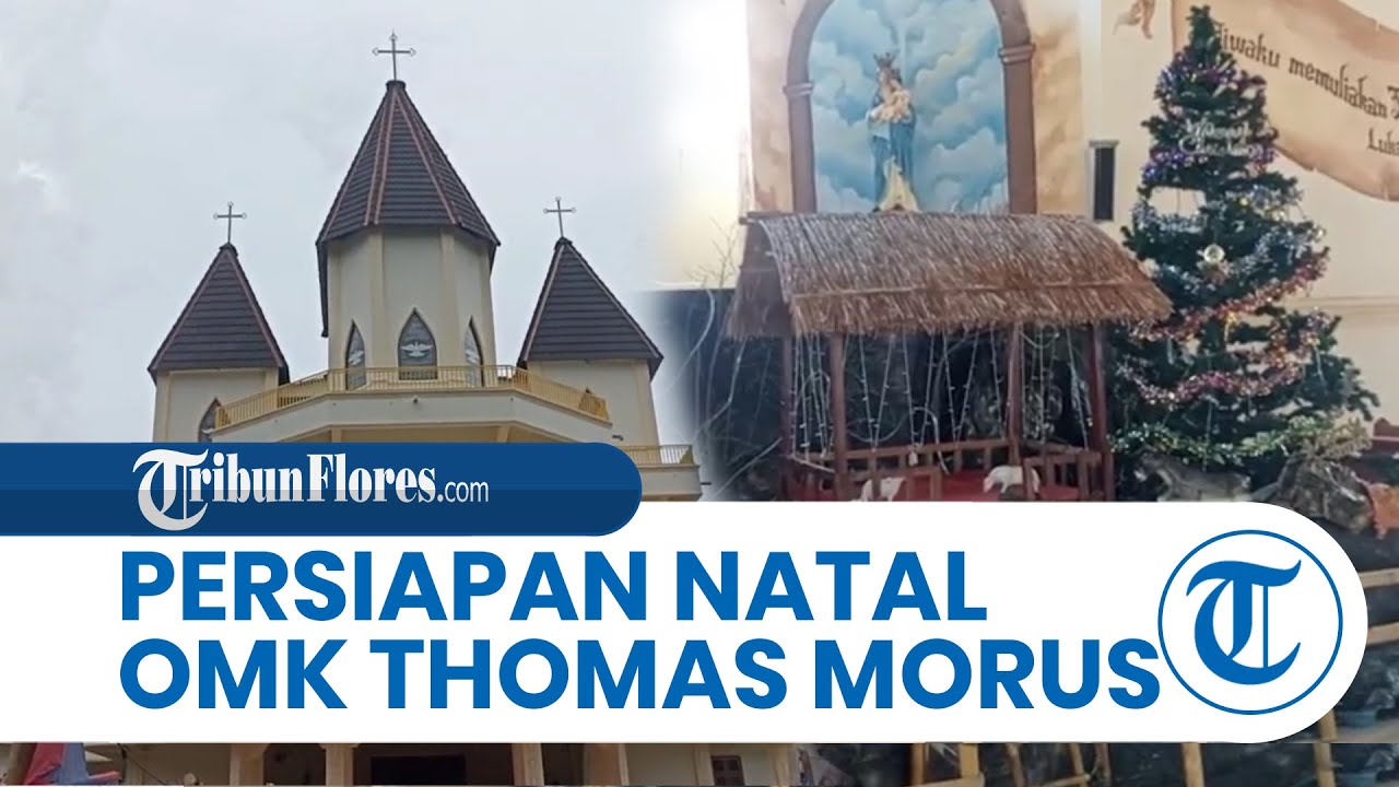 Persiapan Misa Natal 2022, OMK Paroki Santu Thomas Morus Maumere Pasang Pohon Natal