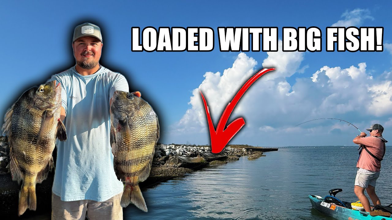 SHEEPSHEAD Were LOADED Around This SHALLOW Structure! *CATCH CLEAN COOK* (St  George Island Fishing)