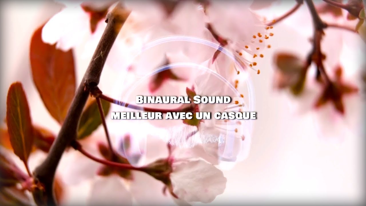 2H Musique pour aller mieux : LES PLUS BELLE MUSIQUE CLASSIQUE en Ré Majeur !!