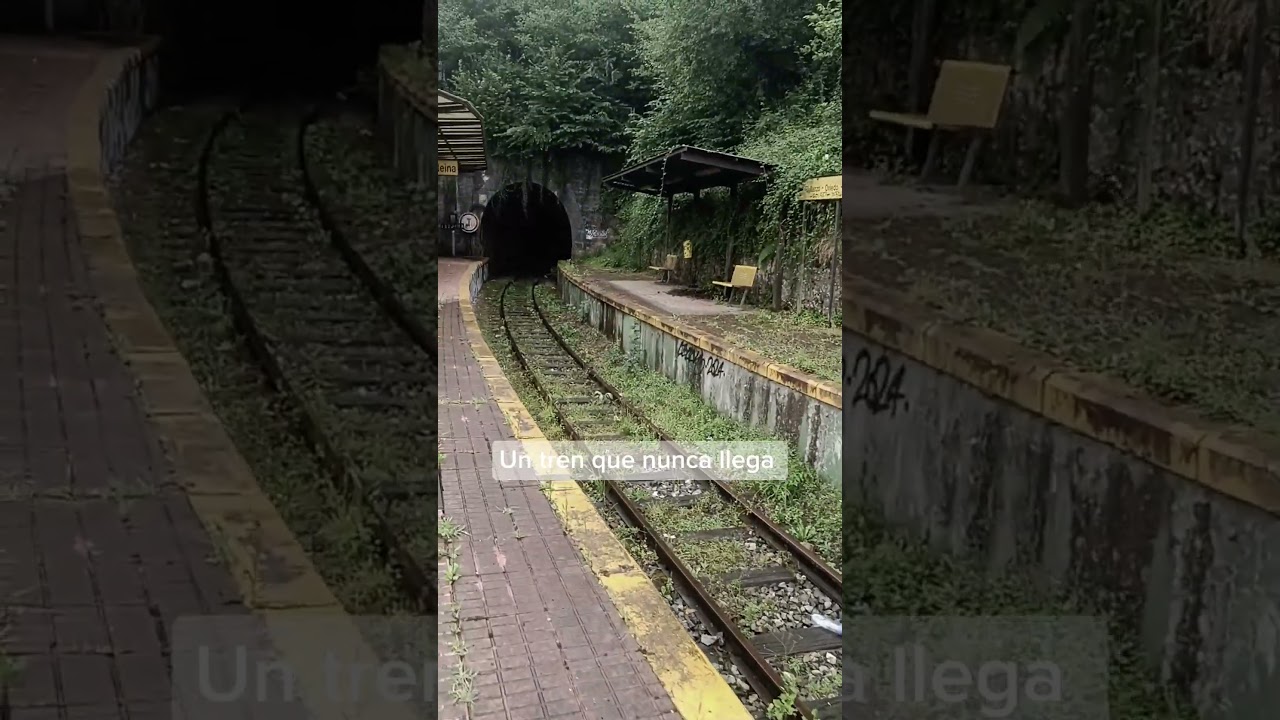 Un tren que nunca llega. #abandonado #abandono #abandonados