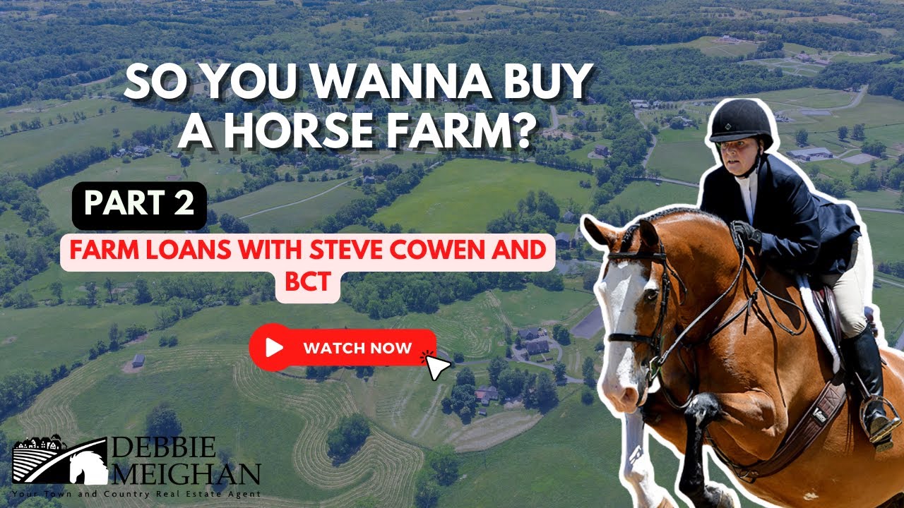 So You Wanna Buy a Horse Farm?! Part two of my series.