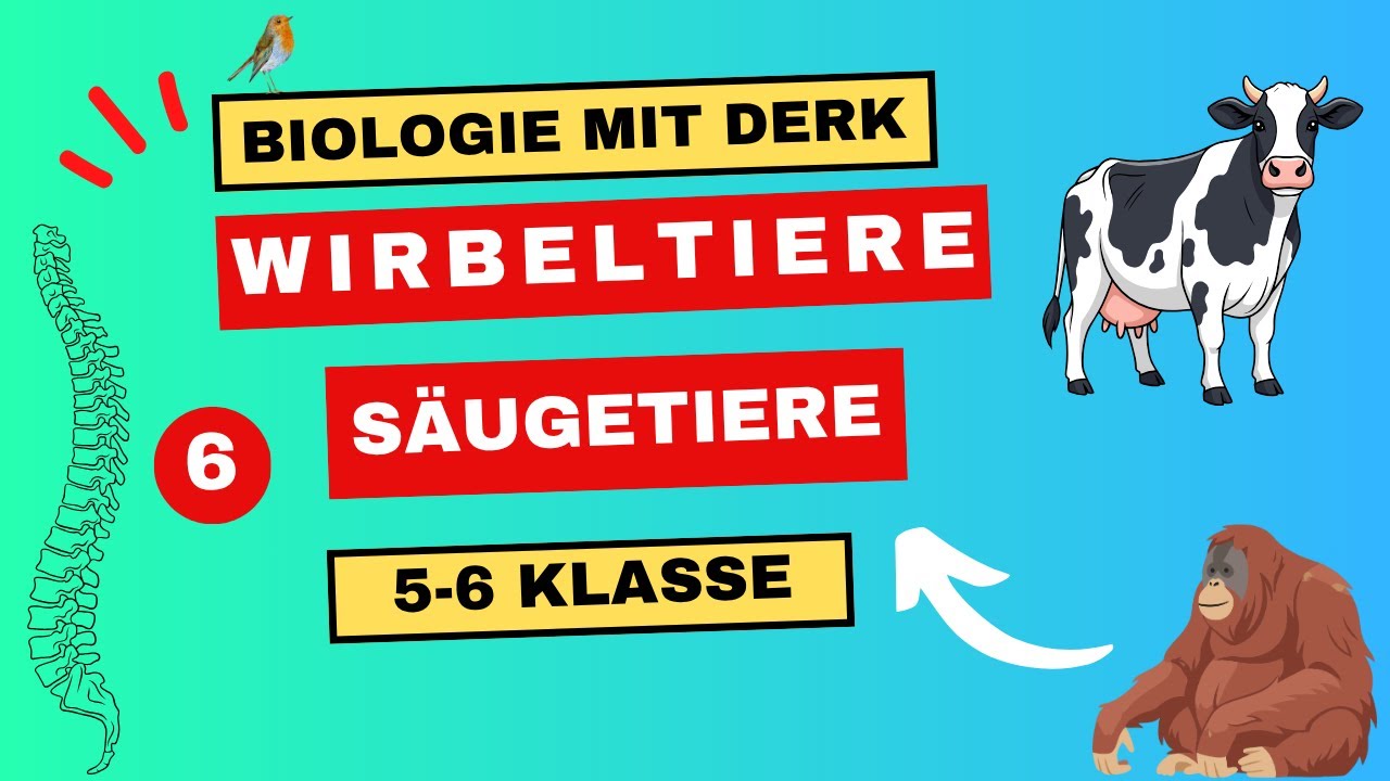 Wirbeltiere | 6 | S&auml;ugetiere | 5 - 6 Klasse