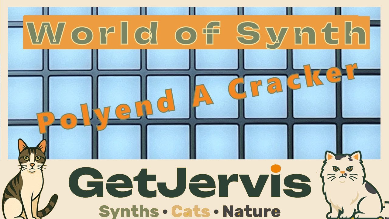 Synth Secrets: Polyend did it again! Episode 678#chat #cat #synth #polyend  #filter #dirt