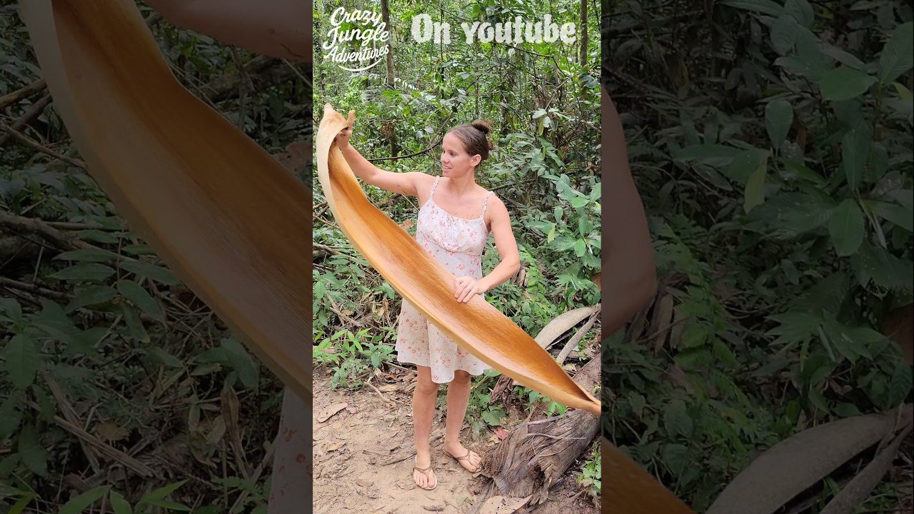 Found a Jungle Treasure Under a Palm 🌴 #jungletreasure #offgridlife #junglefind