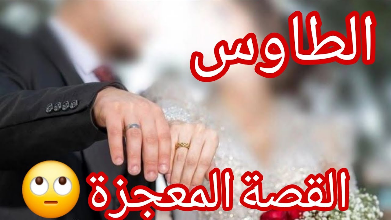 لازم تسمعوها كامل حكاية اليوم 🫢