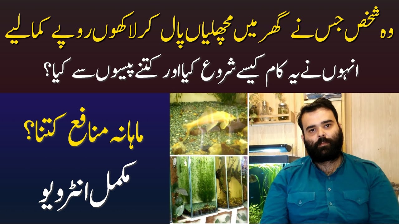 Fish Business in Home | Fish Business Idea