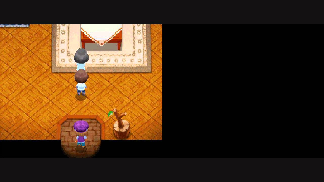 Harvest Moon Tale of Two Towns: Pregnacy and Giving Birth to Cam's Child~ :3