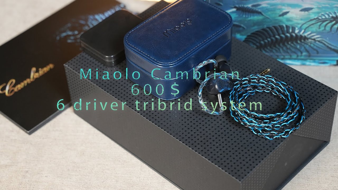 Miaolo Cambrian hybrid IEM Review