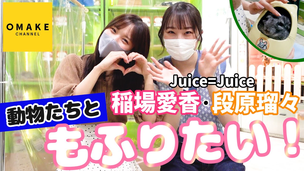 Juice=Juice稲場愛香・段原瑠々 の動物たちと