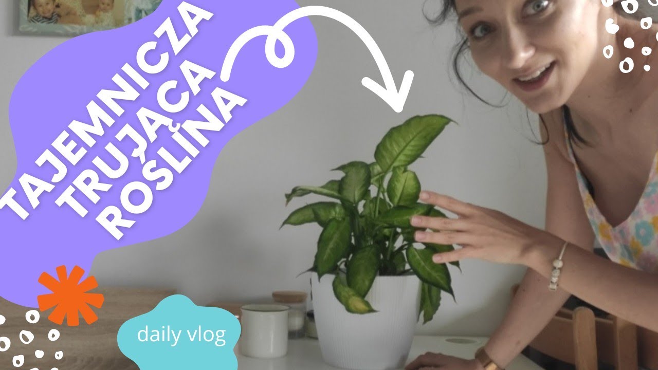 PORZĄDKI W SZAFIE, CZYSZCZENIE MAKRAMY I PRALKI | Daily vlog