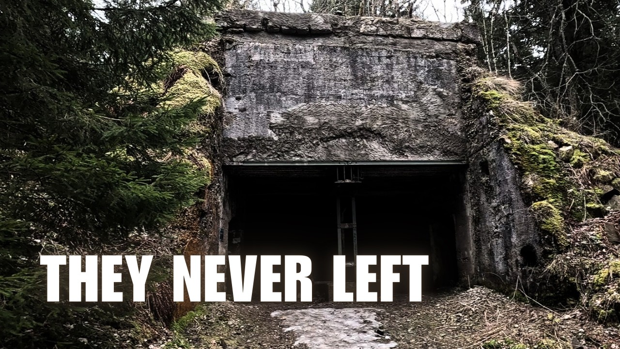 Рождественская бойня 1914 года. Никто не помнит.