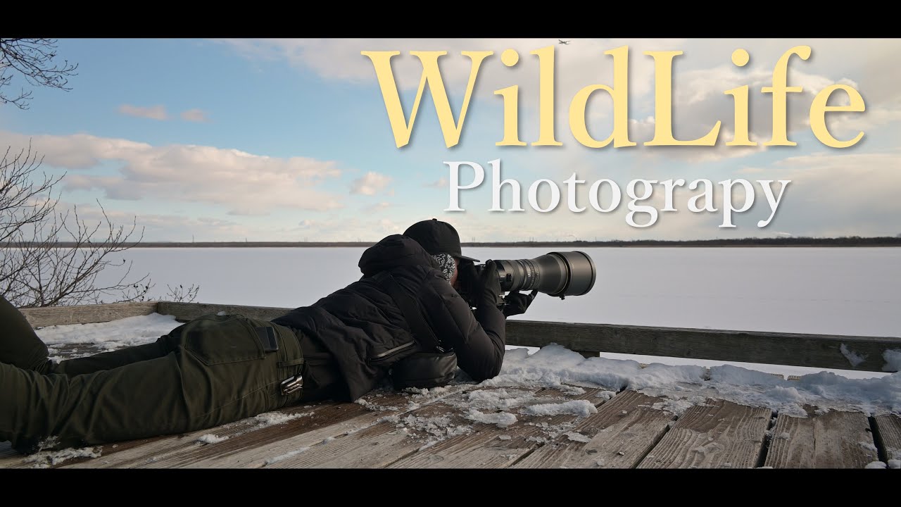 2泊3日 北海道 野鳥撮影旅 with Nikon Z9・Z 600mm f4 TC VRS