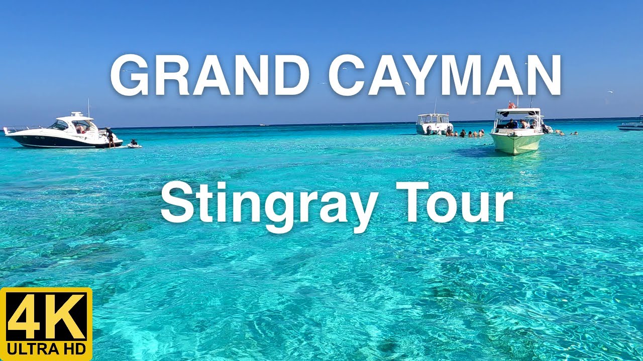 Stingray Tour, Grand Cayman, Discover the islands' best snorkeling tour, Coral Garden, Stingray City