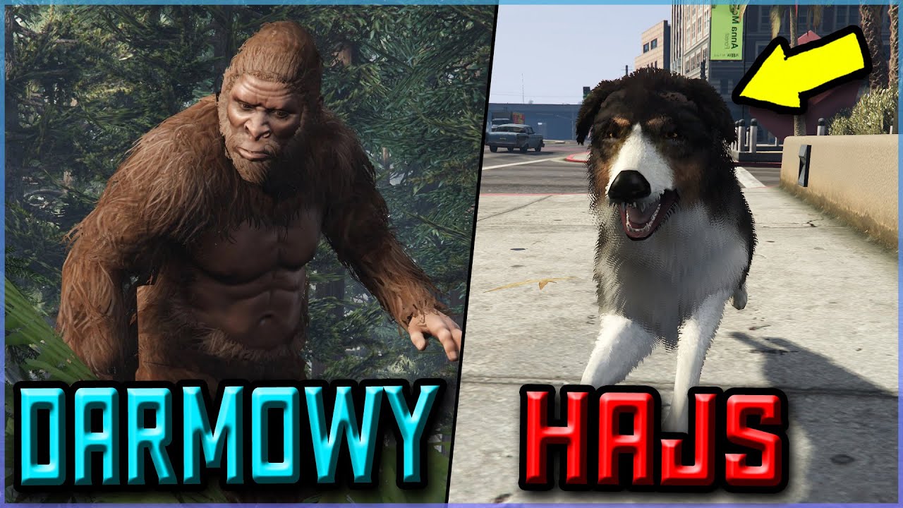 DARMOWY HAJS ! JAK EXPIĆ NA PEJOTLACH ? ORAZ WIĘCEJ ! - GTA ONLINE