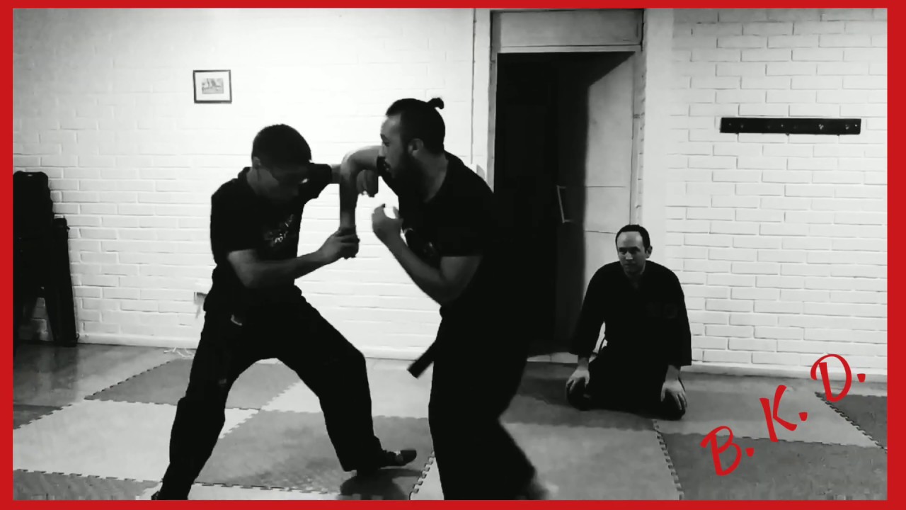 BUJINKAN KIRYU DOJO Stgo. Chile