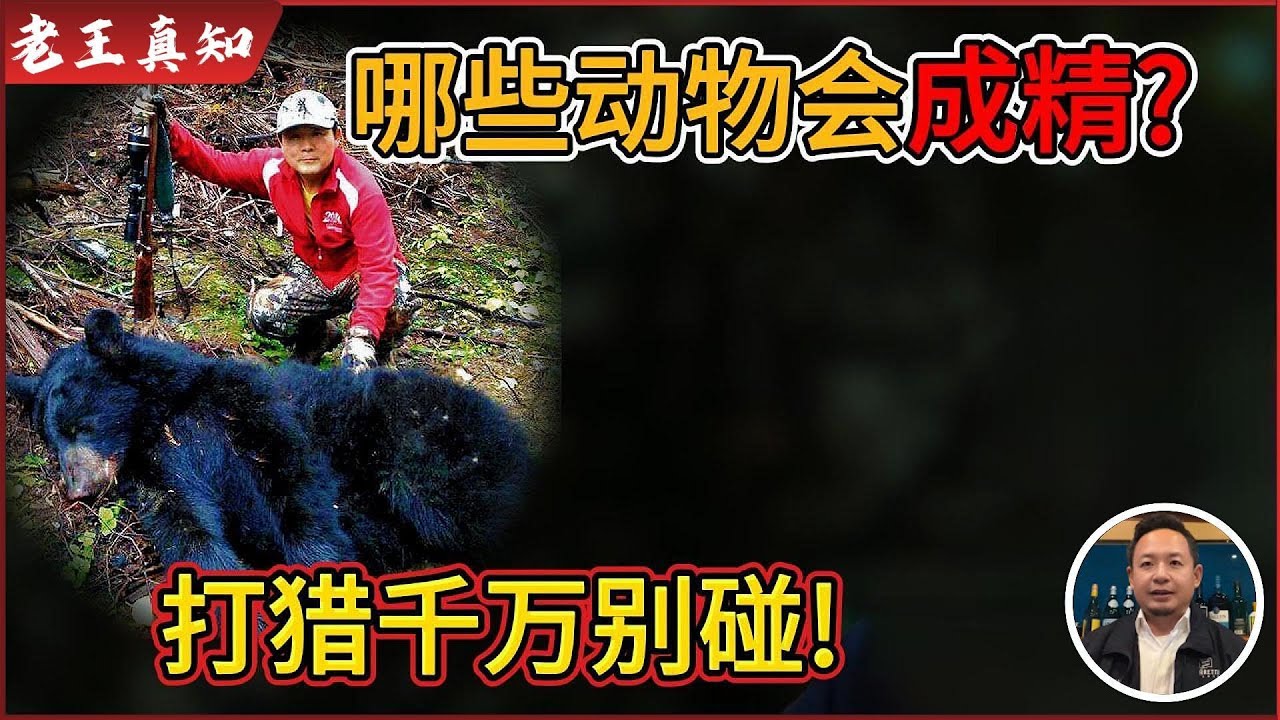 老王来了：不能乱打猎！唐山首富像野兽一样被肢解，现世报真实上演｜阴间打猎牌与动物成精的秘密｜