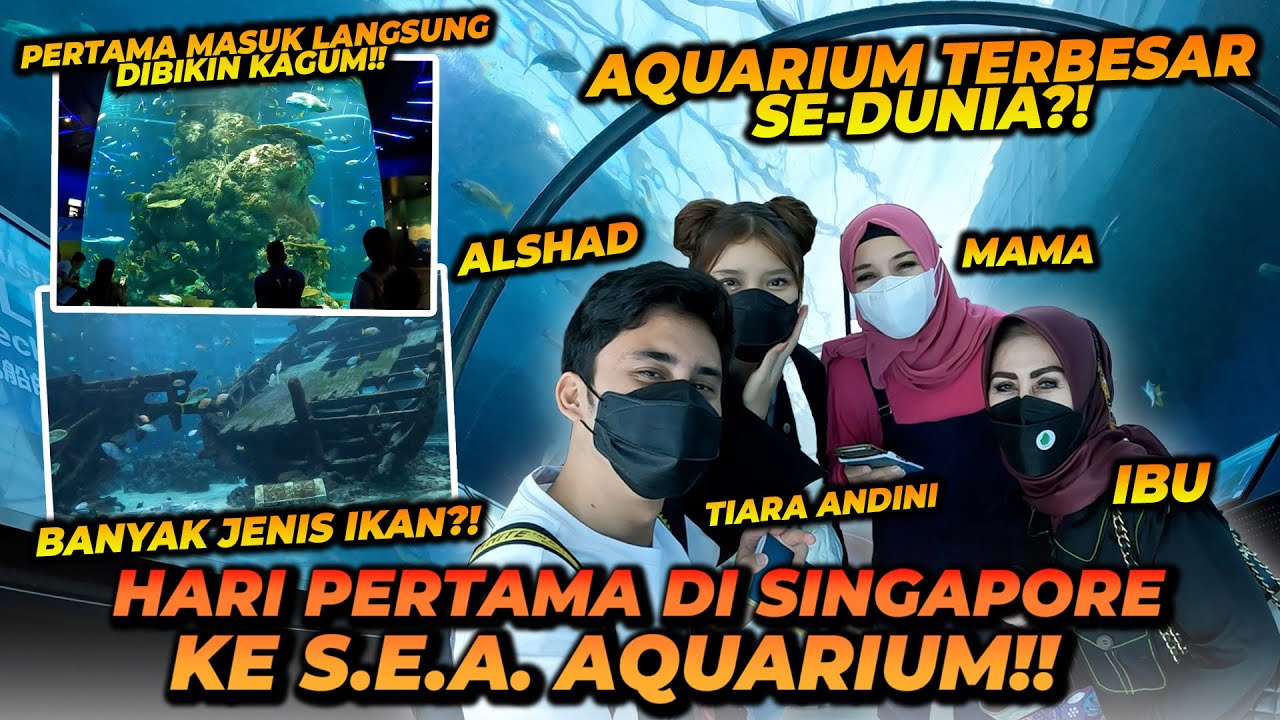 HARI PERTAMA KE SINGAPORE ! KE SALAH SATU AQUARIUM TERBESAR DI DUNIA ! S.E.A AQUARIUM PART 1