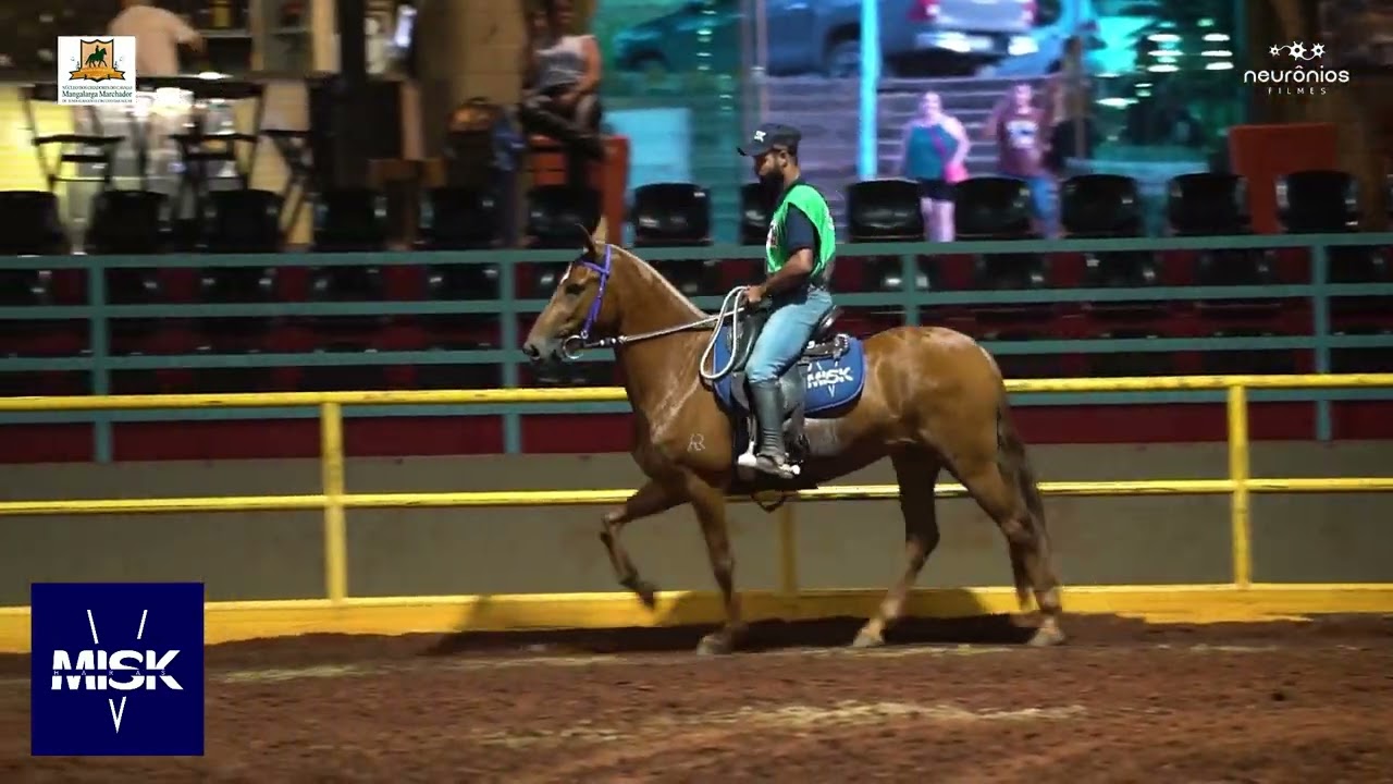 🐴 Correnteza da Riocon