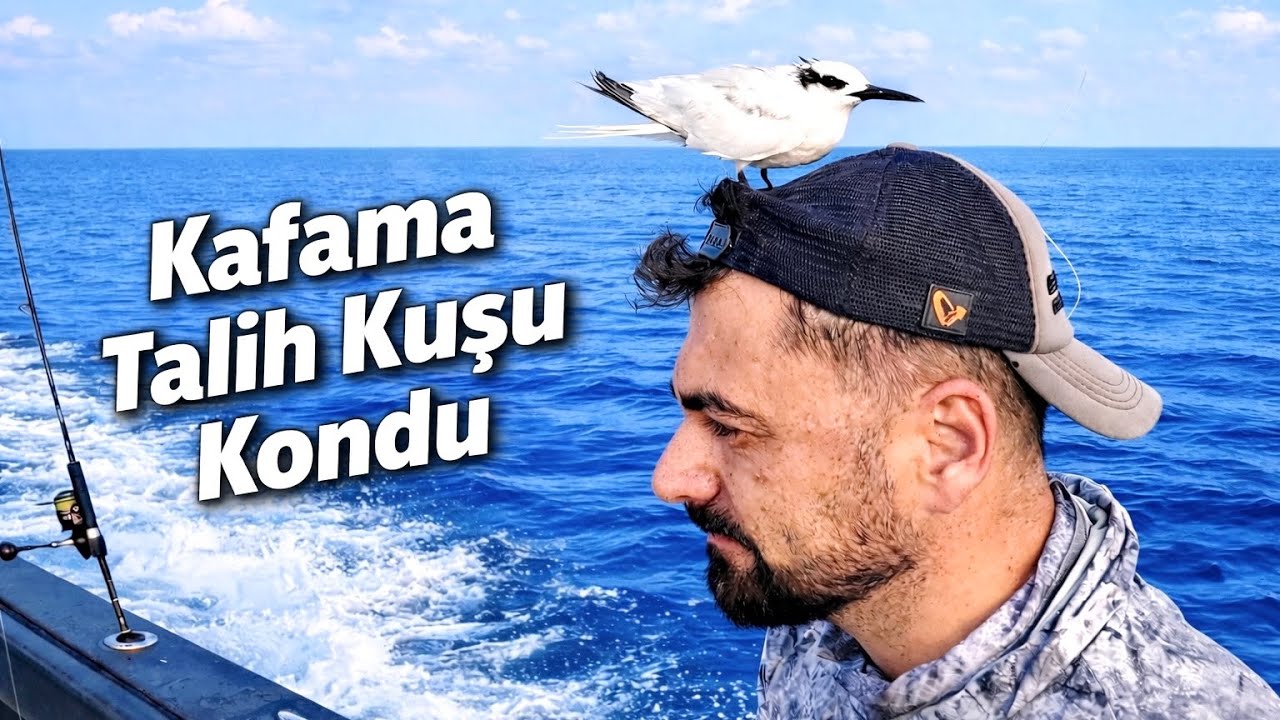 Maldivler&rsquo;de Rengarenk Dev Balıklar Yakaladık !! / Deniz&rsquo;in Ortasında Kafama Kuş Kondu