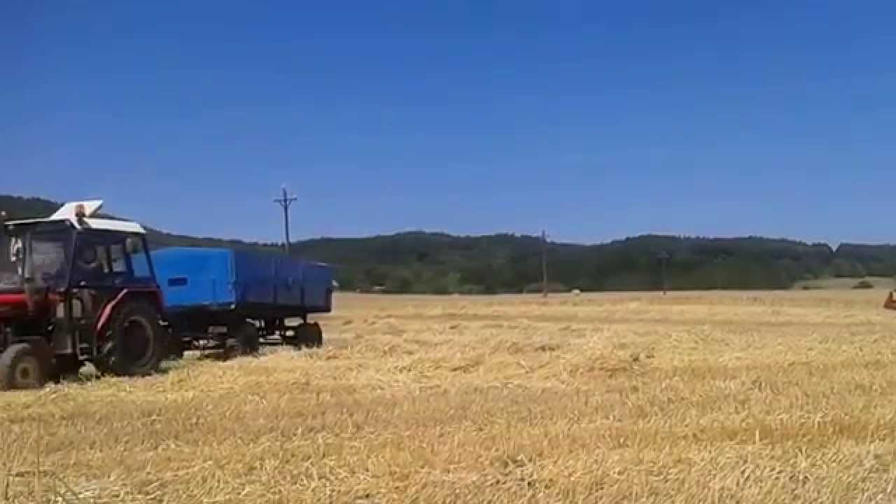 Žně 2014 (ozim&eacute; ječmeny)
