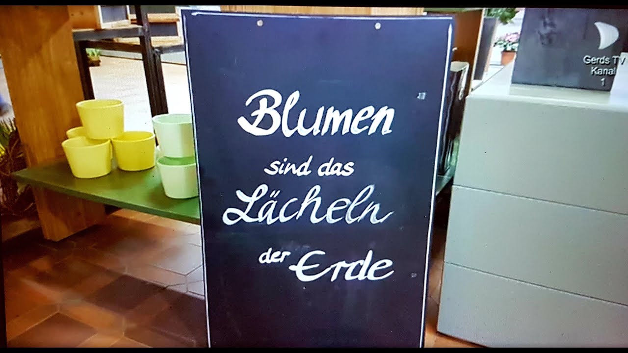 Fr&uuml;hlingserwachen bei Blumen Hofmeister #blumenliebe #fr&uuml;hling #floristik #blumen