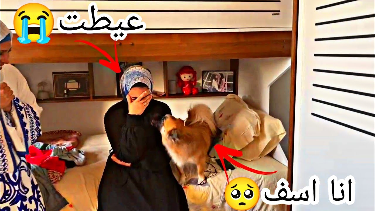 مقلب بيبي سيزر غرق في تقي ماهر (انهارت من العياط) 💔وسيزر فضحنا🤣