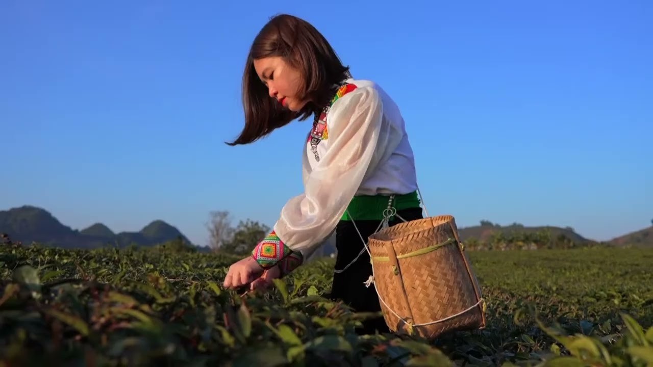 Phường Vân Sơn tổ chức hội nghị tổng kết công tác xây dựng Đảng