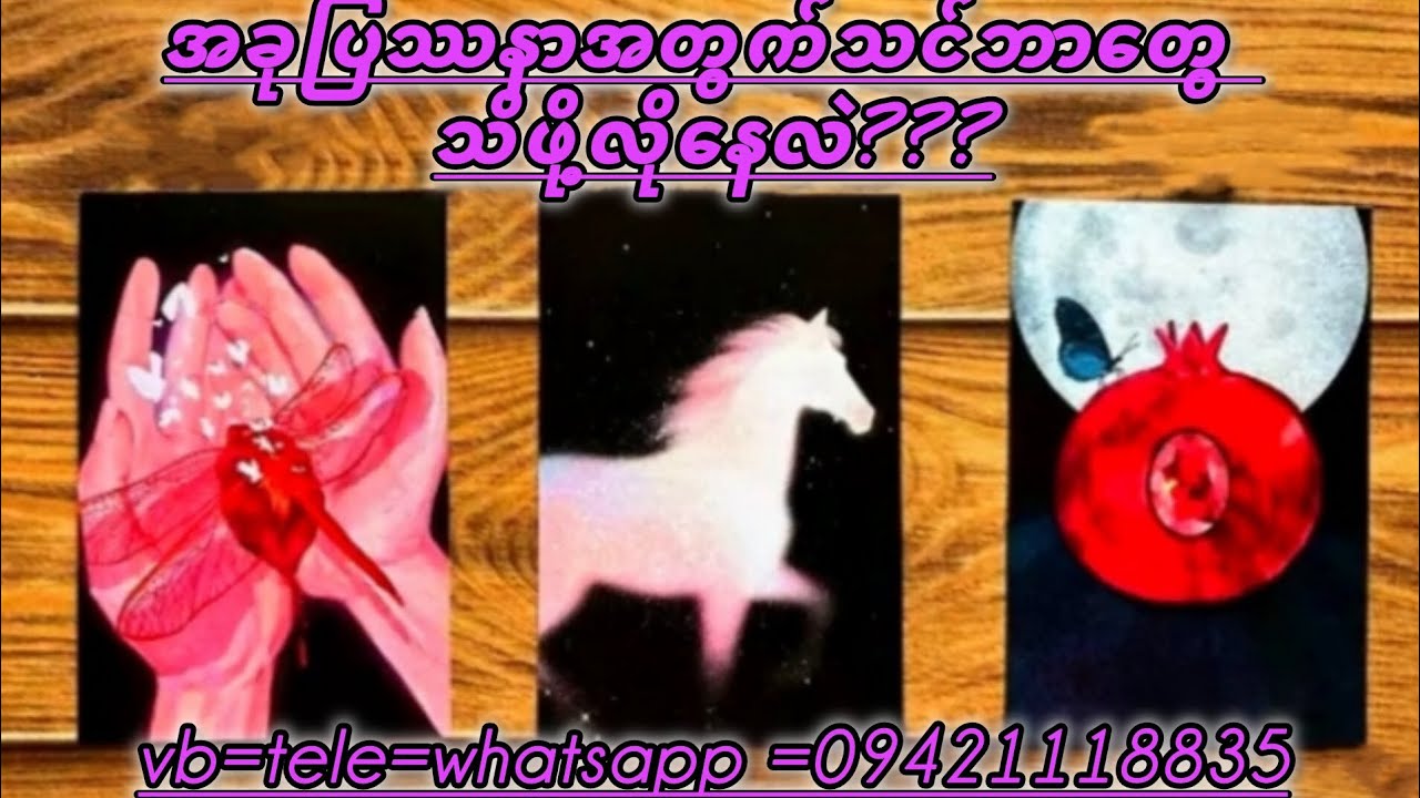 အခုပြဿနာအတွက်သင်ဘာသိဖို်လိုလဲ???