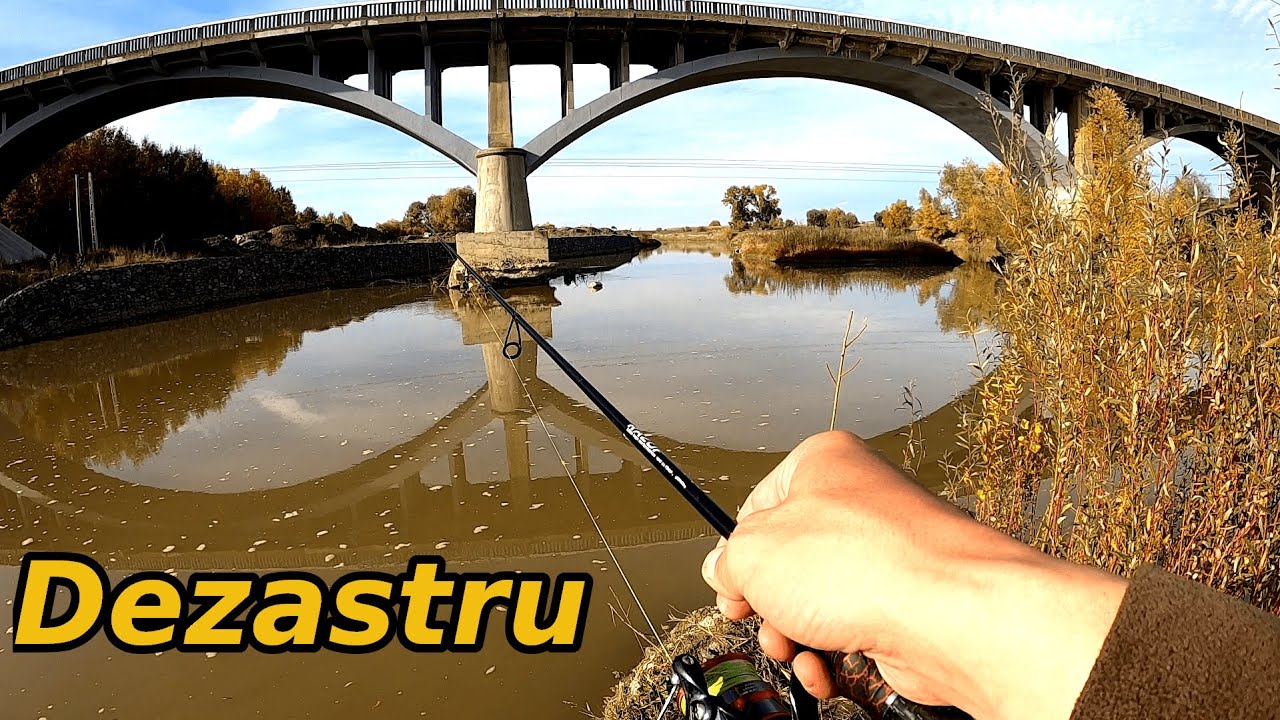 Explorez Locuri de Pescuit pe Râul Siret după Confluența cu Râul Suceava.