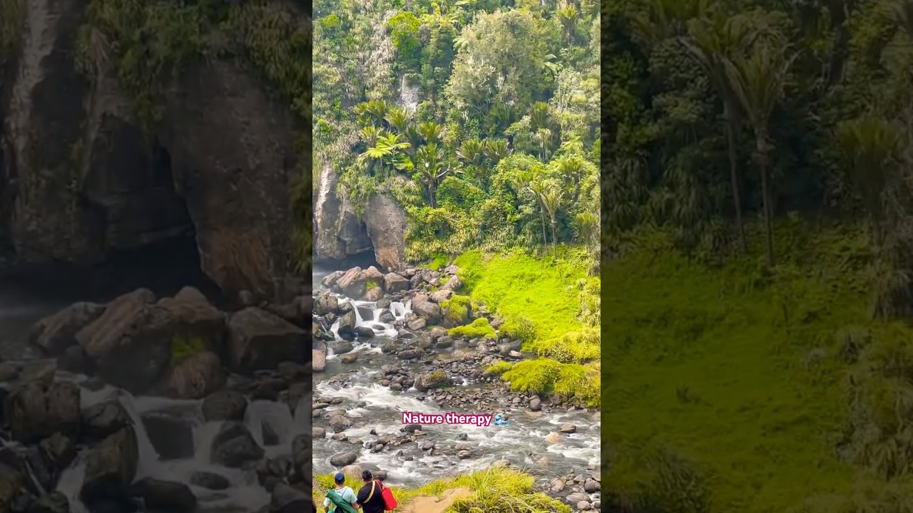 Watch This If You Feel Stressed 🌊 