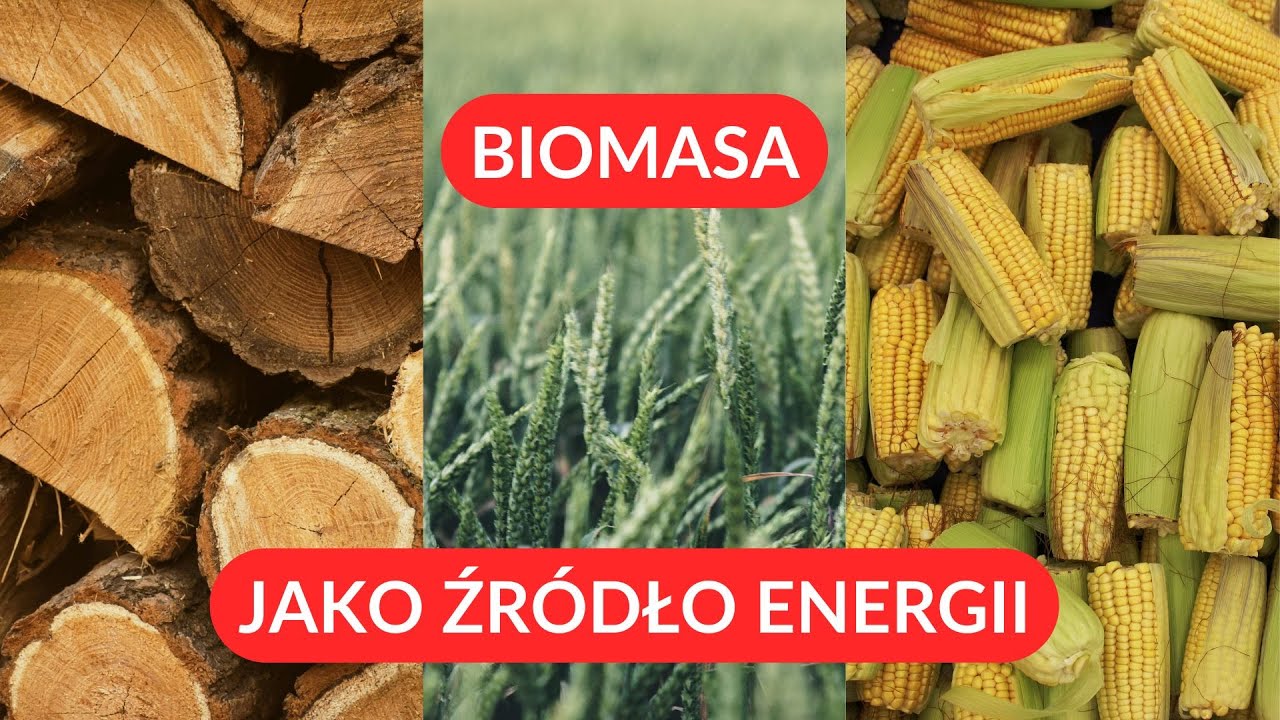 Czy to nowa nadzieja na ekologiczną energię? Biomasa - zalety, wady, wyzwania