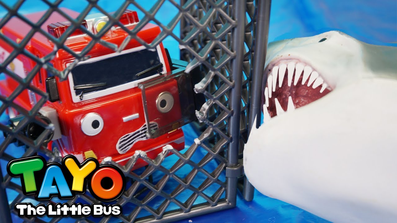 Shark Attack! Let's help Frank! l Tayo Firetruck Rescue Team l Tayo the Little Bus