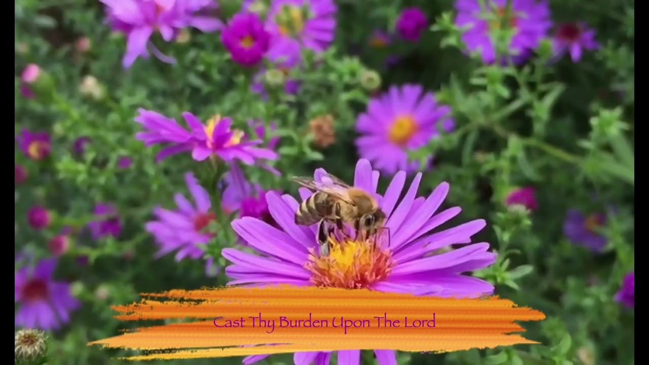 Cast Thy Burden Upon The Lord || Christian Song #christiansongs #christianmusic #baptisthymns