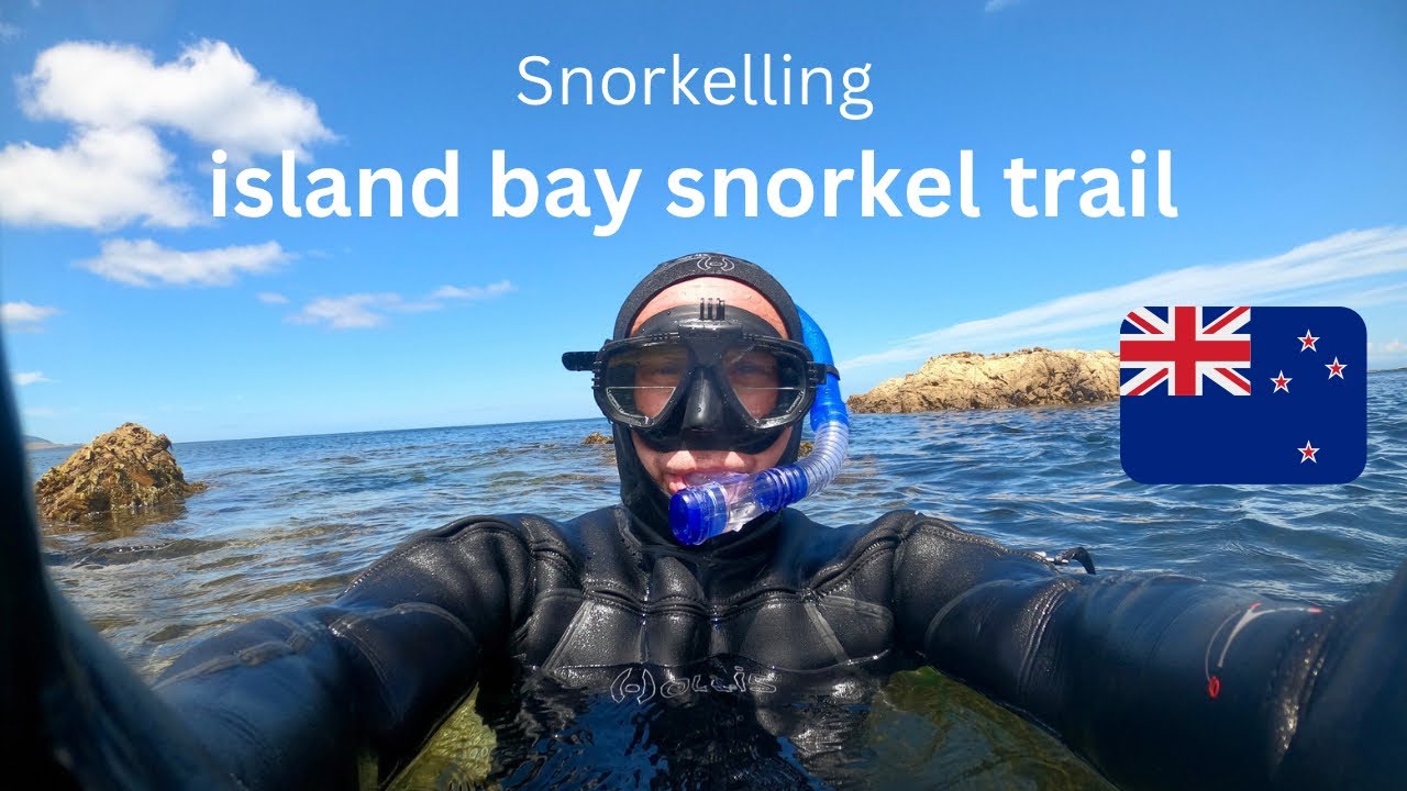 Come Explore The Beautiful Snorkel Trail In Island Bay, Wellington, New Zealand!