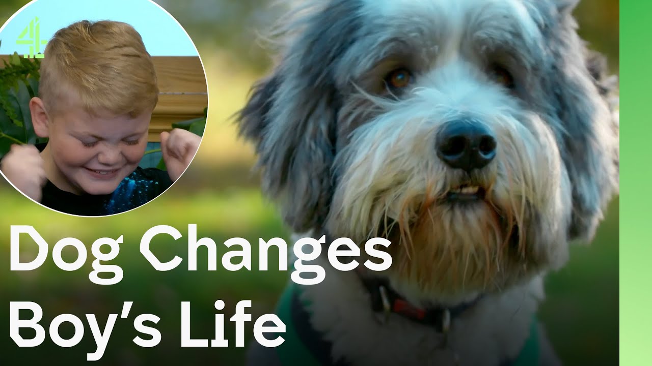 Dog helps boy with cystic fibrosis | The Dog House 🐶 | Dog Stories