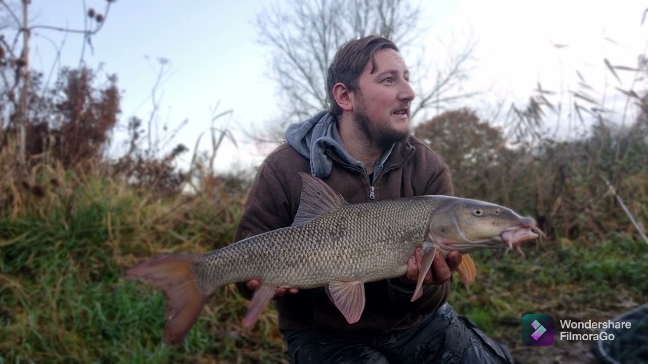 Winter Barbel Fishing On The River Nene