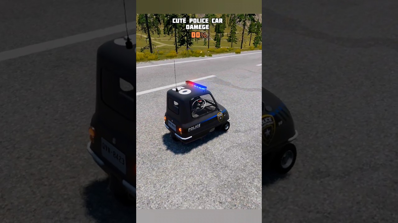 cute police car damage test